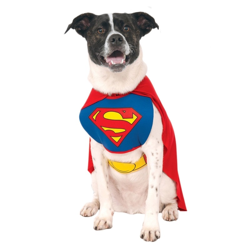 Superman Costume for Pets - DC Comics Medium