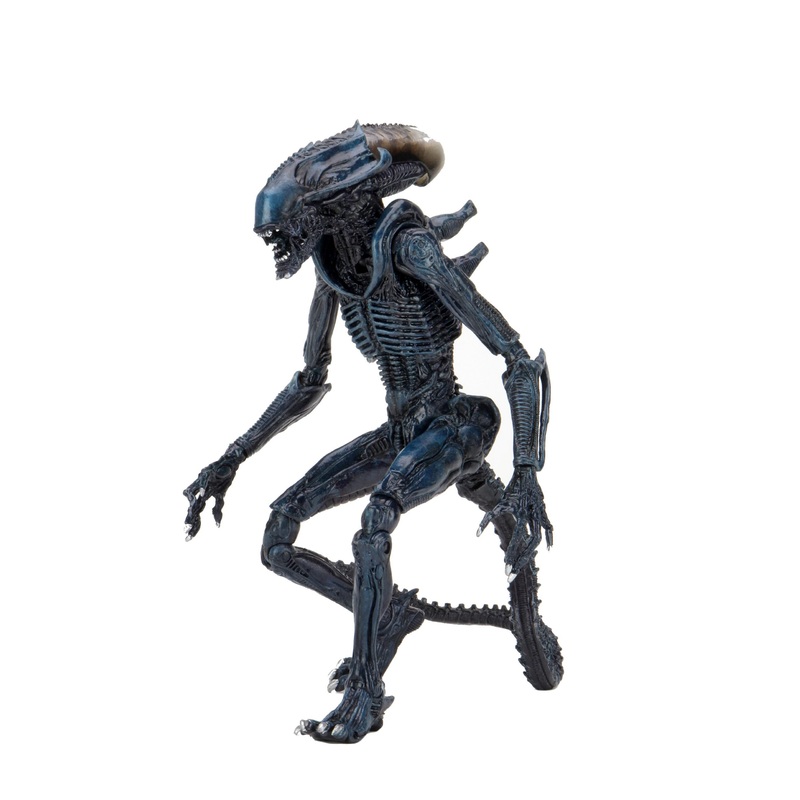 Arachnoid Alien (Movie Deco) - 7" Scale Action Figures - Alien vs Predator - NECA Collectibles