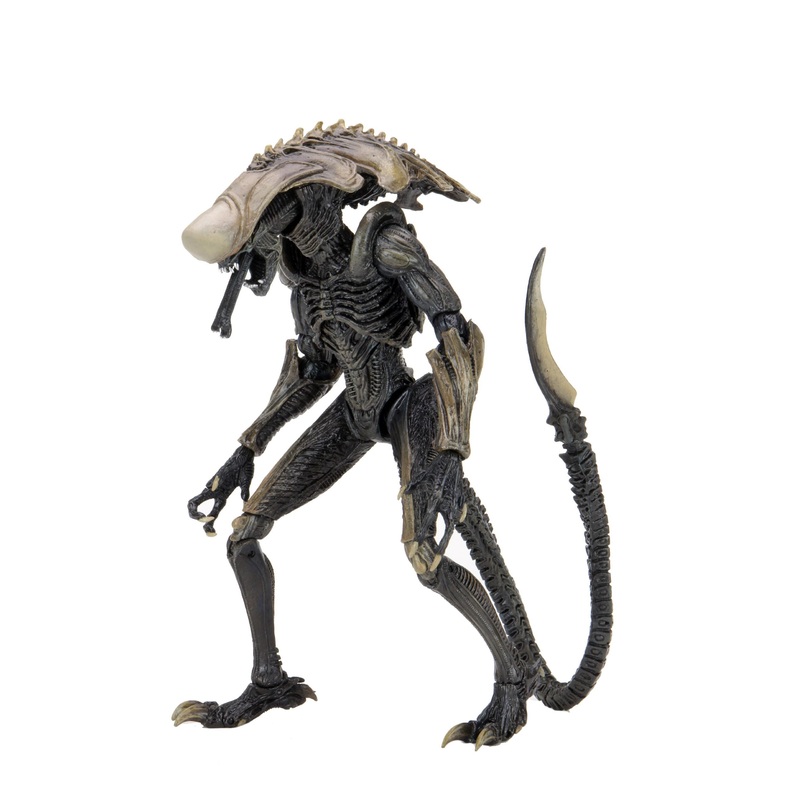 Chrysalis Alien (Movie Deco) - 7" Scale Action Figures - Alien vs Predator - NECA Collectibles