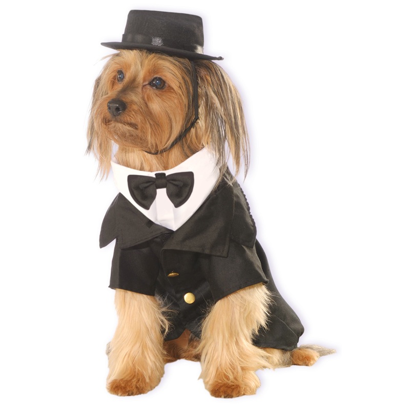 Dapper Dog Pet Costume Small