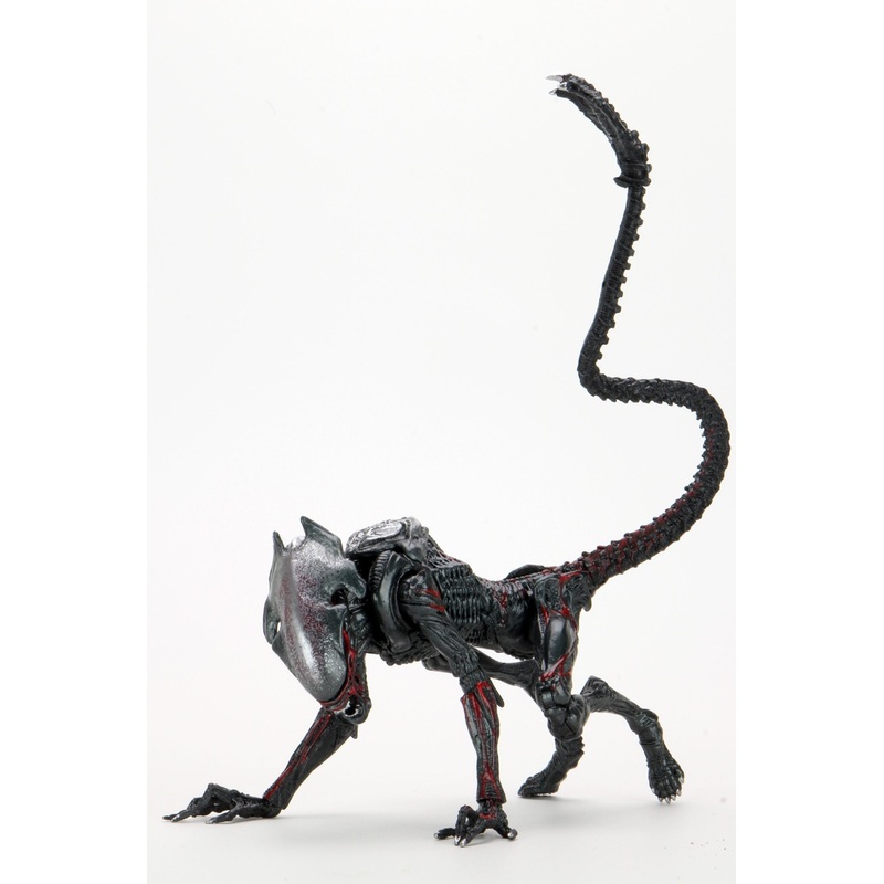 Night Cougar Alien Kenner Tribute - 7" Scale Action Figure - Aliens - NECA Collectibles