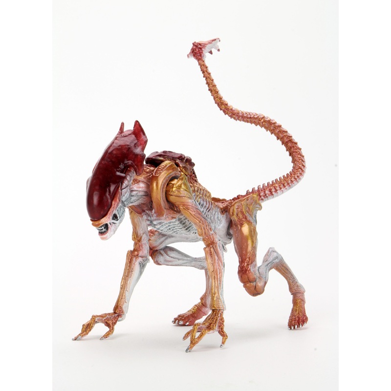 Panther Alien Kenner Tribute - 7" Scale Action Figure - Aliens - NECA Collectibles