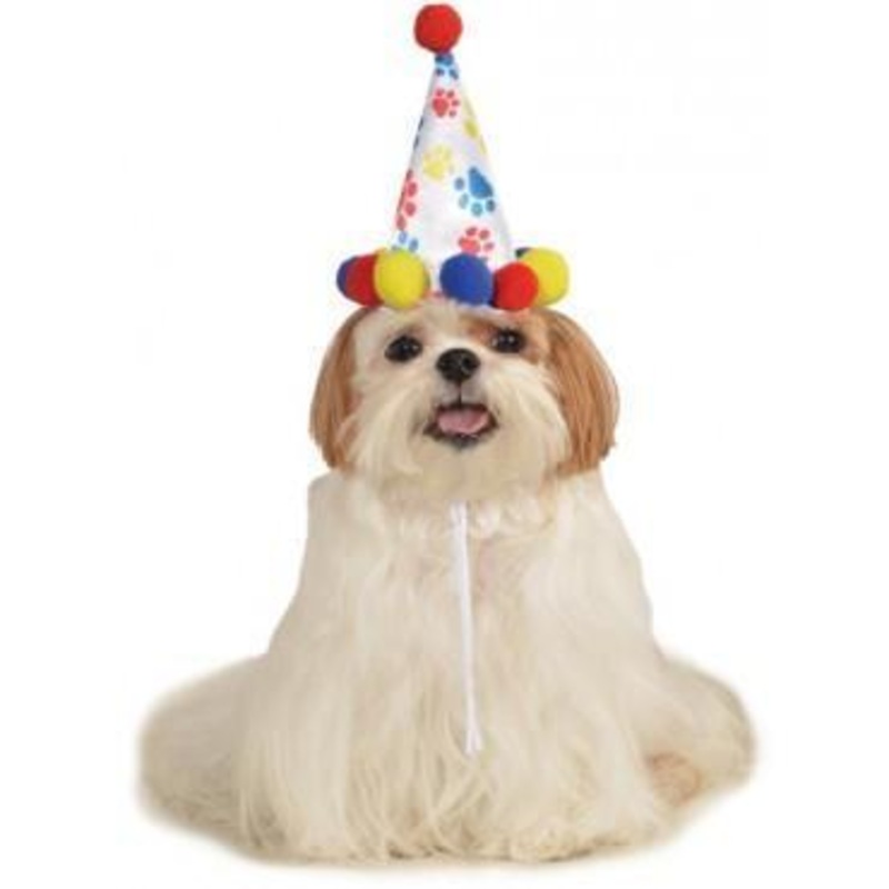 Paw Print Birthday Boy Pet Hat Small-Medium (S-M)
