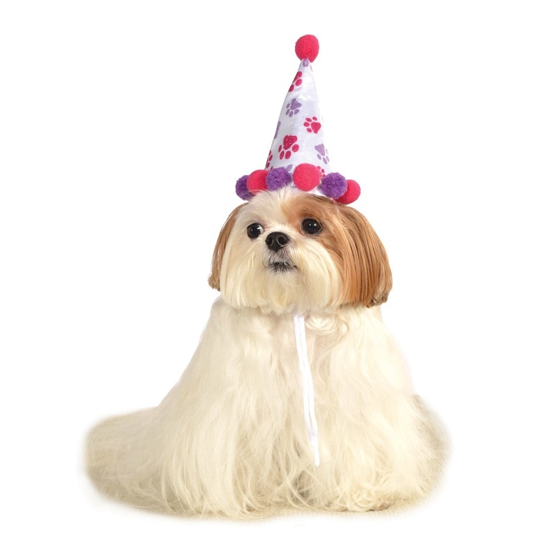Paw Print Birthday Girl Pet Hat Small-Medium (S-M)